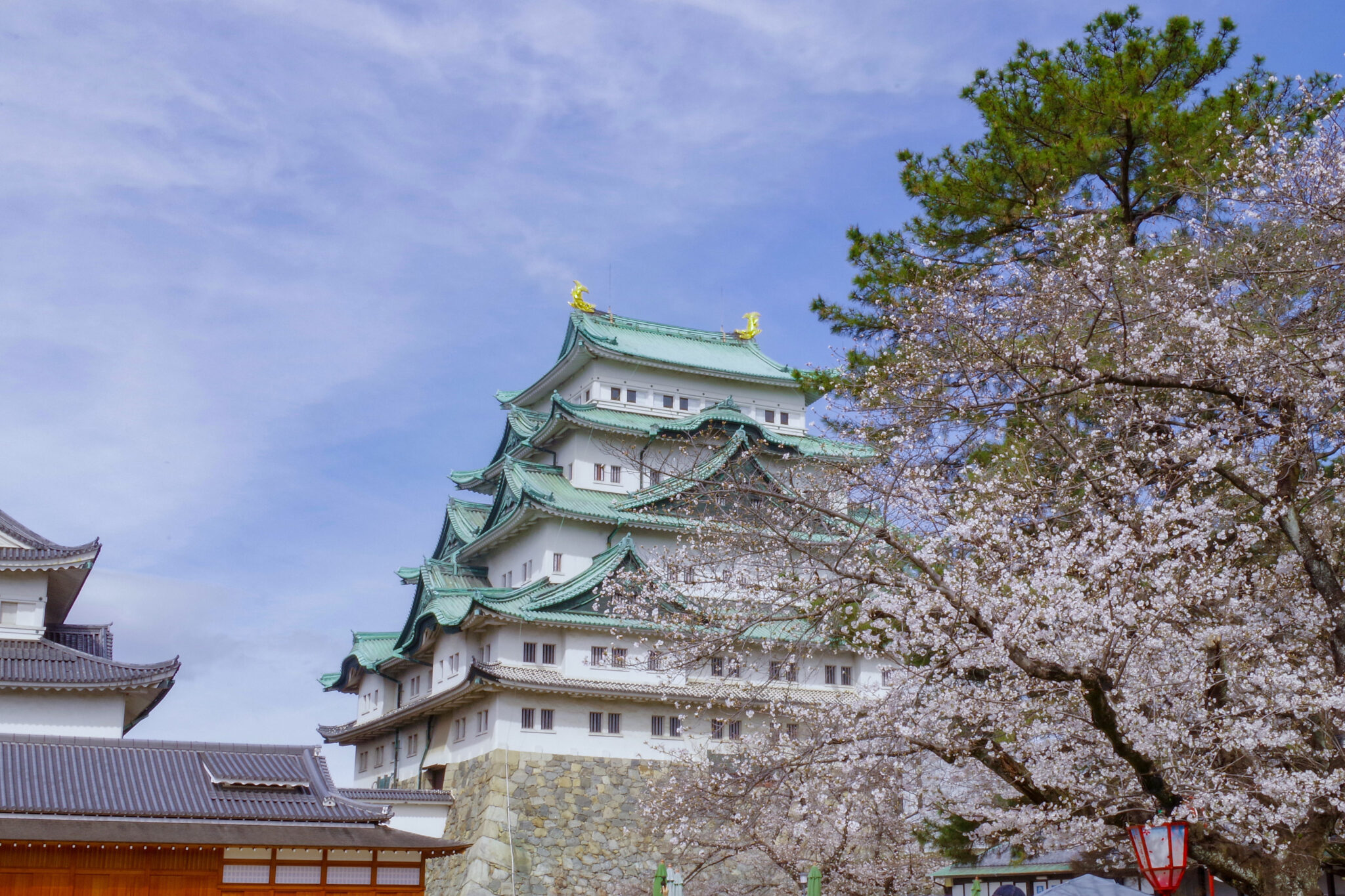 名古屋城春まつり