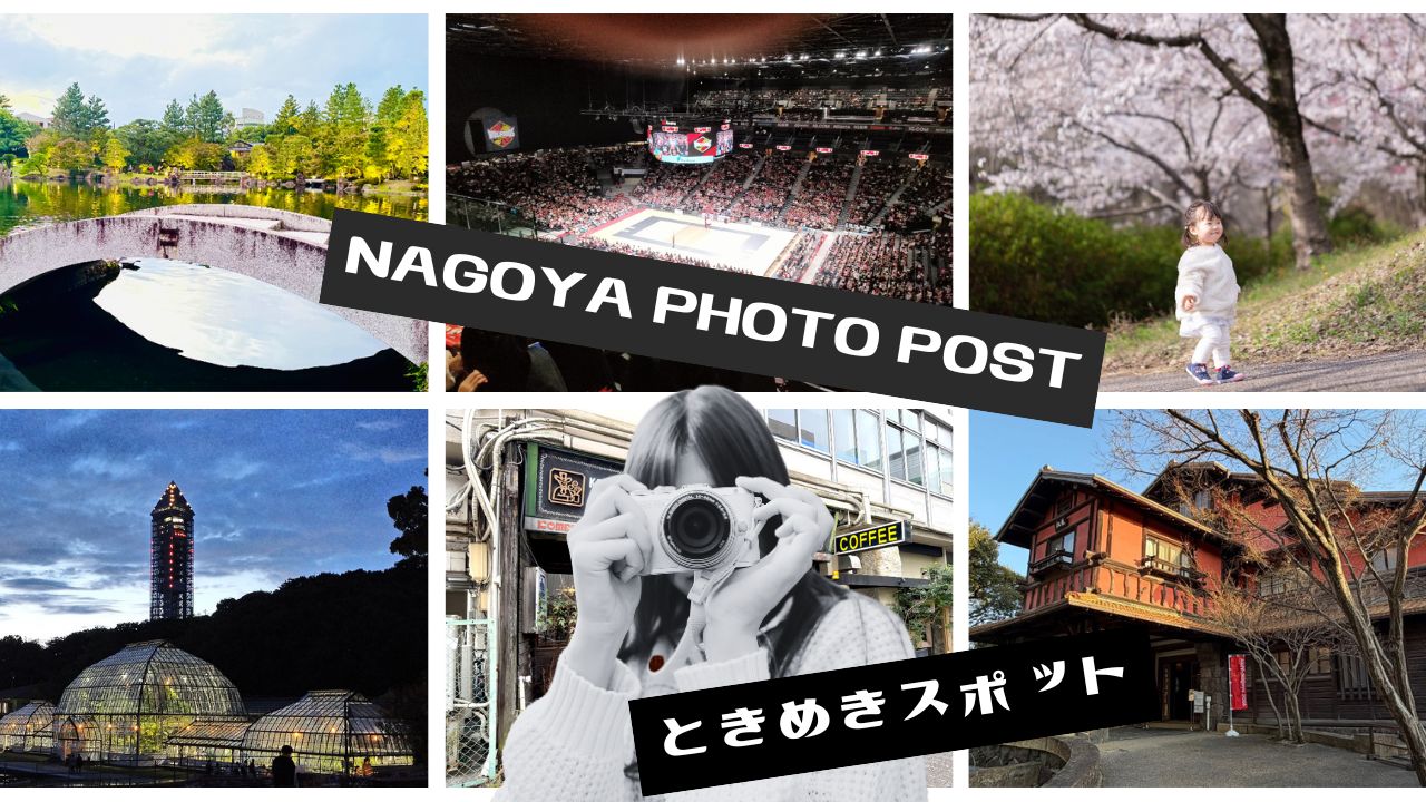 サイト記事サムネイル