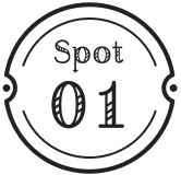 Spot 01