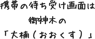 携帯の待ち受け画面は御神木の「大楠(おおくす)」
